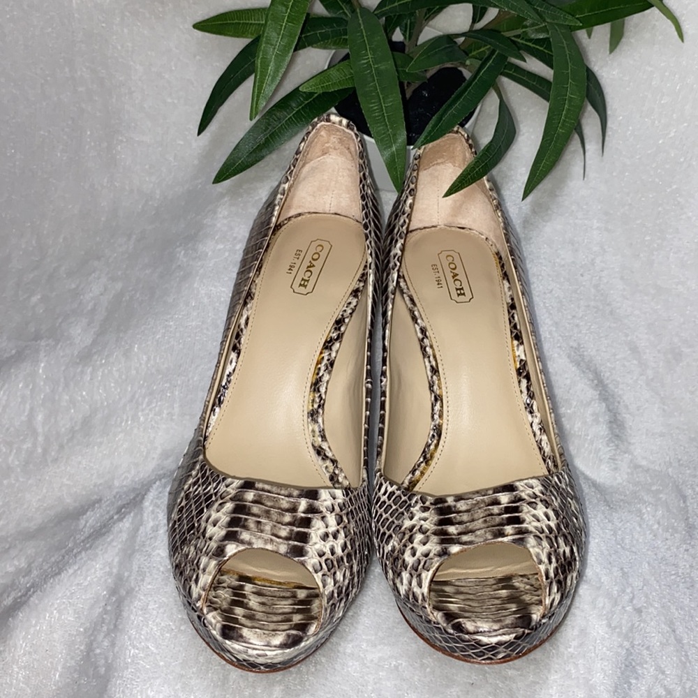 Coach Selma Python Pumps - Picture 9 of 12